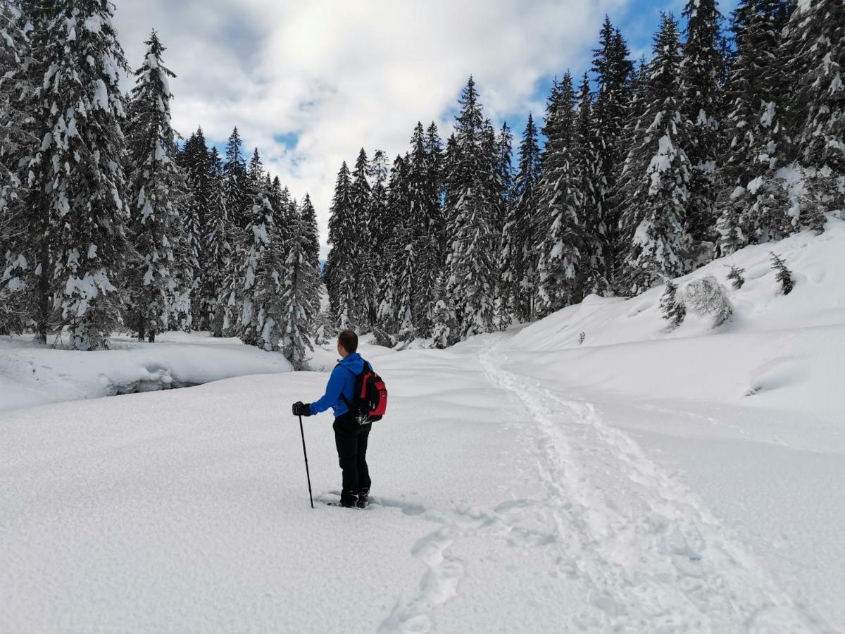 Hotel Garni Sottobosco Димаро Екстериор снимка